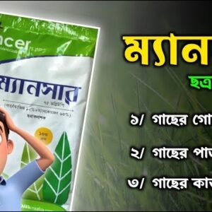 ম্যানসার ছত্রাক নাশক