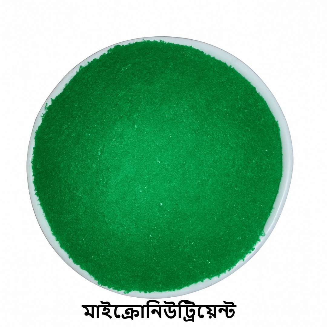 WhatsApp Image 2025-07-29 at 23.22.57_b4f62d52