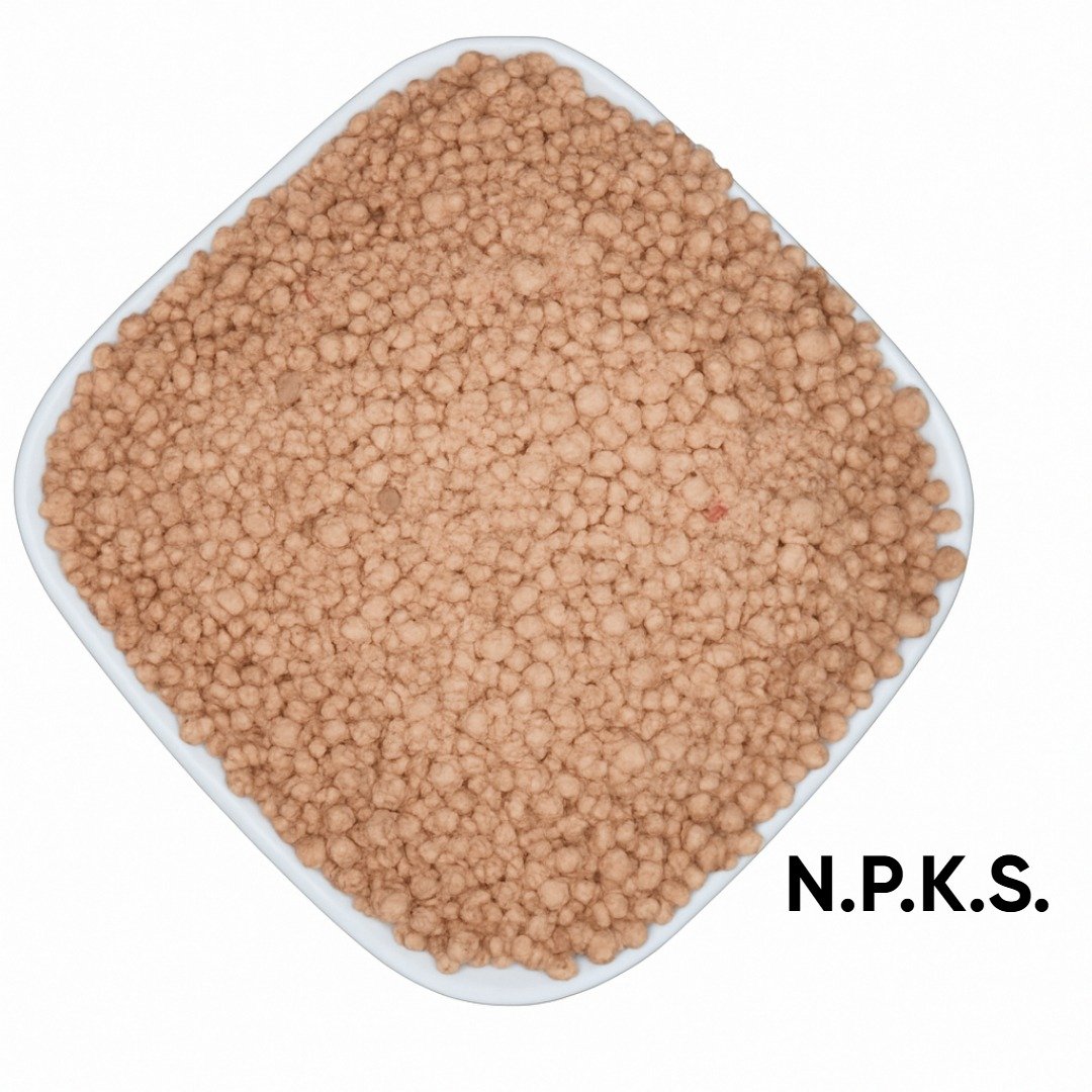 WhatsApp Image 2025-07-29 at 23.23.23_3171564f