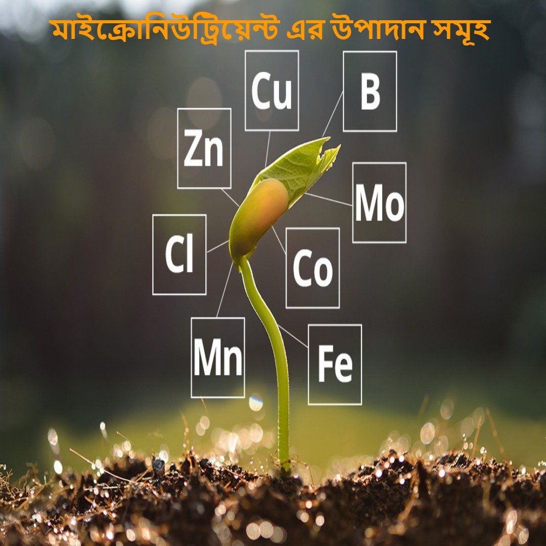 WhatsApp Image 2025-07-29 at 23.23.42_03a09cf8