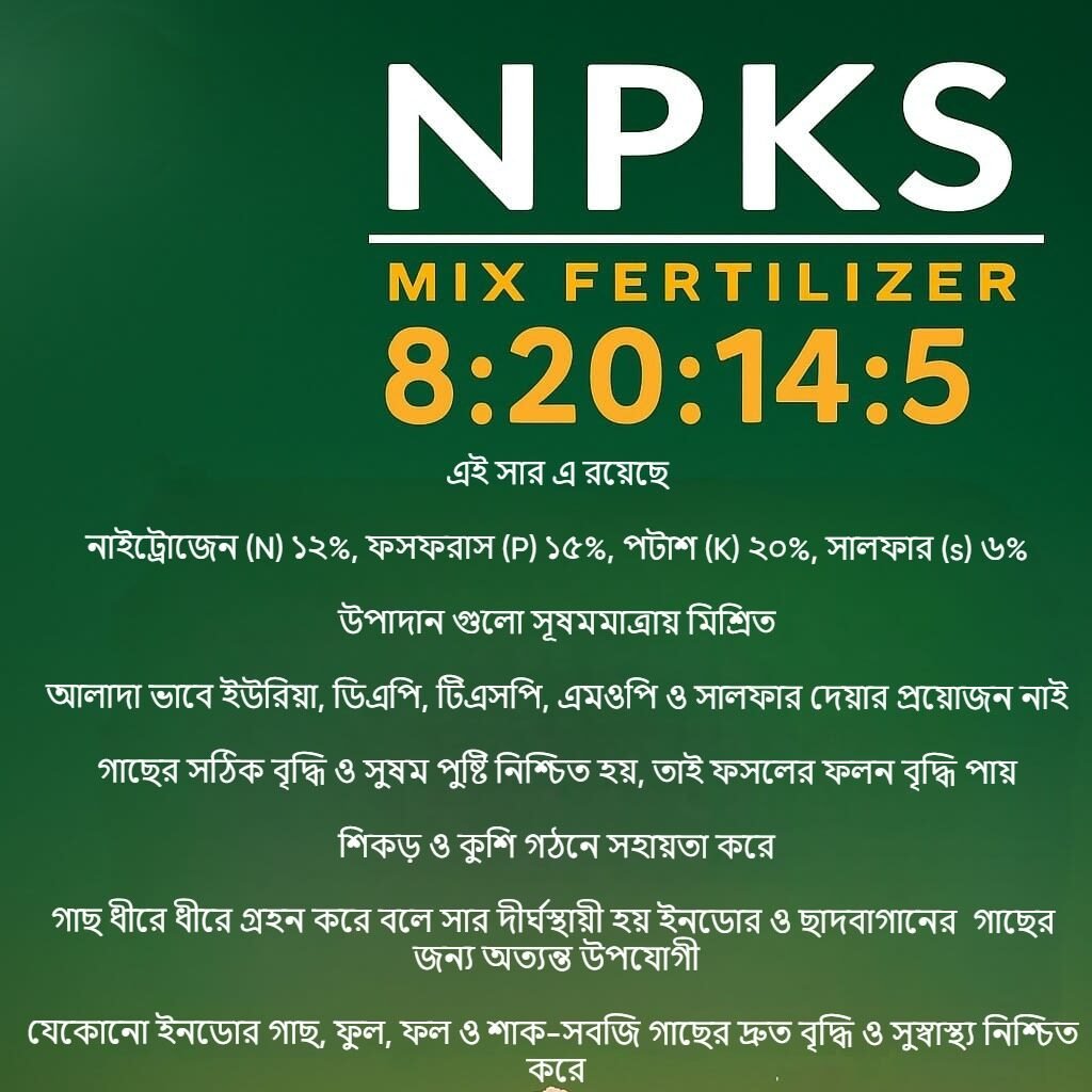 WhatsApp Image 2025-07-29 at 23.24.01_70ce7481